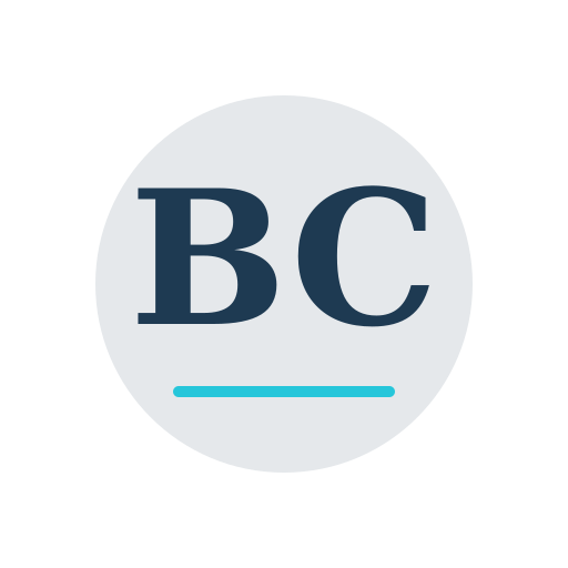 Bemo Chimney Repair logo